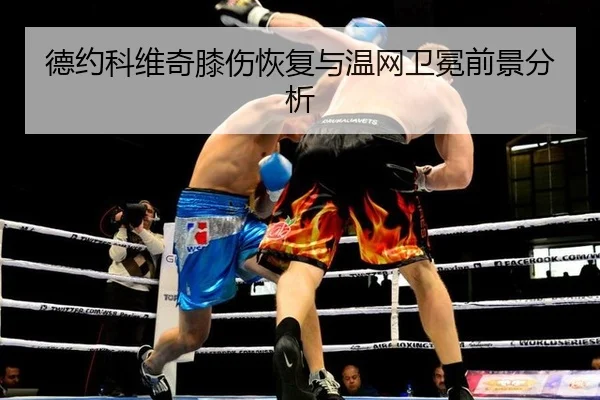 de-yue-ke-wei-qi-xi-shang-hui-fu-yu-wen-wang-wei-mian-qian-jing-fen-xi-3-311.jpg