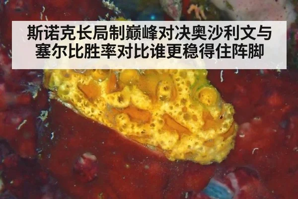 斯诺克长局制巅峰对决奥沙利文与塞尔比胜率对比谁更稳得住阵脚